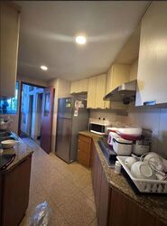 Rafflesia Condominium (D20), Condominium #502560451